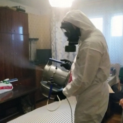 Дезинфекция от клопов в Энгельсе