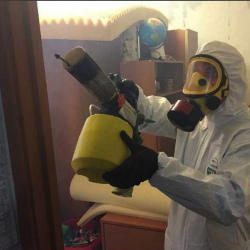 Уничтожение клопов в квартире. Энгельс